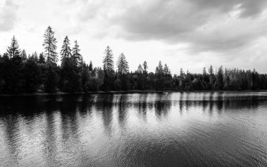 Landscape at the Hasenbacher Teich. Nature in the Harz near Clausthal-Zellerfeld.
