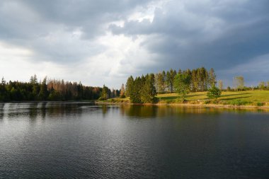 Landscape at the Hasenbacher Teich. Nature in the Harz near Clausthal-Zellerfeld.