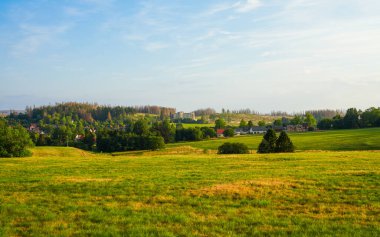 Landscape at the Hasenbacher Teich. Nature in the Harz near Clausthal-Zellerfeld.