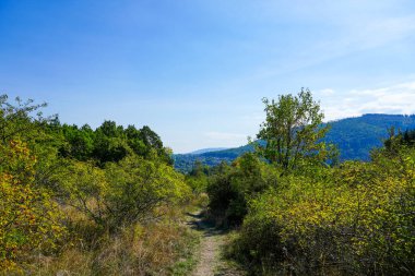 Landscape near Oker. Green nature near Goslar in the Harz mountains.