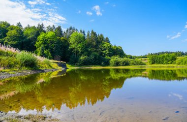 Mittlerer Zechenteich near Clausthal-Zellerfeld. Landscape at the lake in the Harz mountains. Green nature by the water. Old colliery pond in the Harz National Park.