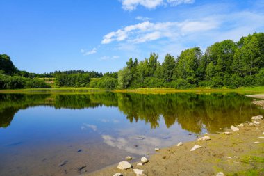 Mittlerer Zechenteich near Clausthal-Zellerfeld. Landscape at the lake in the Harz mountains. Green nature by the water. Old colliery pond in the Harz National Park.