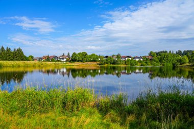 Nature at the Oberer Eschenbacher Teich near Clausthal-Zellerfeld. Landscape at the lake in the Harz Mountains with the surrounding green nature.
