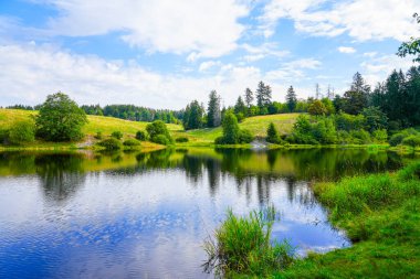 Nature at the Oberer Eschenbacher Teich near Clausthal-Zellerfeld. Landscape at the lake in the Harz Mountains with the surrounding green nature.