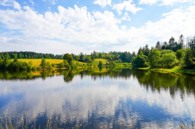 Nature at the Oberer Eschenbacher Teich near Clausthal-Zellerfeld. Landscape at the lake in the Harz Mountains with the surrounding green nature.