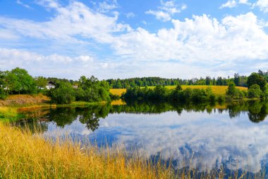 Nature at the Oberer Eschenbacher Teich near Clausthal-Zellerfeld. Landscape at the lake in the Harz Mountains with the surrounding green nature.