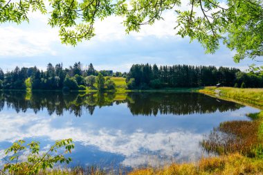 Nature at the Oberer Eschenbacher Teich near Clausthal-Zellerfeld. Landscape at the lake in the Harz Mountains with the surrounding green nature.