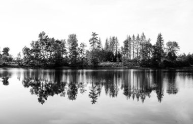Nature at the Oberer Nassenwieser Teich in the Harz Mountains. View of the pond with the surrounding landscape.