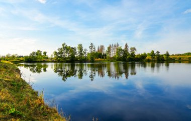 Nature at the Oberer Nassenwieser Teich in the Harz Mountains. View of the pond with the surrounding landscape.
