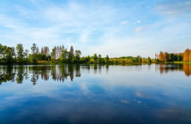 Nature at the Oberer Nassenwieser Teich in the Harz Mountains. View of the pond with the surrounding landscape.