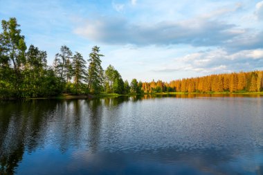 Nature at the Oberer Nassenwieser Teich in the Harz Mountains, near Clausthal-Zellerfeld. View of the pond with the idyllic autumn landscape.