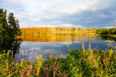 Nature at the Oberer Nassenwieser Teich in the Harz Mountains, near Clausthal-Zellerfeld. View of the pond with the idyllic autumn landscape.