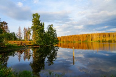 Nature at the Oberer Nassenwieser Teich in the Harz Mountains, near Clausthal-Zellerfeld. View of the pond with the idyllic autumn landscape.