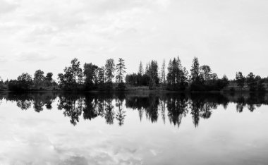 Nature at the Oberer Nassenwieser Teich in the Harz Mountains. View of the pond with the surrounding landscape.