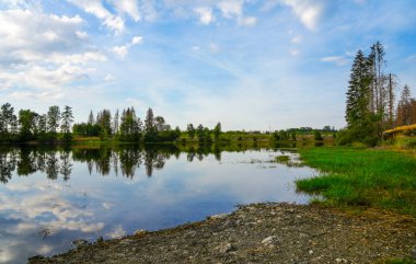 Nature at the Oberer Nassenwieser Teich in the Harz Mountains. View of the pond with the surrounding landscape.