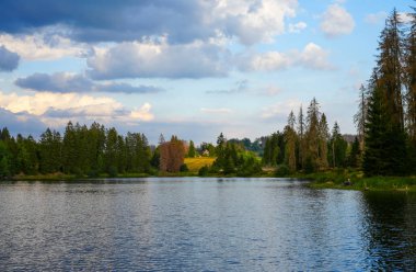 View of the Prince's pond with the surrounding nature. Landscape at the lake near Clausthal-Zellerfeld in the Harz Mountains.