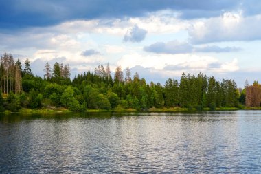 View of the Prince's pond with the surrounding nature. Landscape at the lake near Clausthal-Zellerfeld in the Harz Mountains.