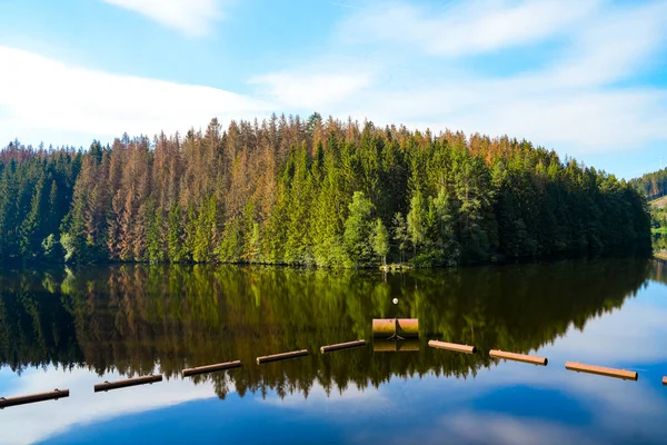 哈茨山脉阿尔特瑙附近的奥克水库 从Okertalsperre到Oker See和周围的风景 水边的Idyllic自然 — 图库照片