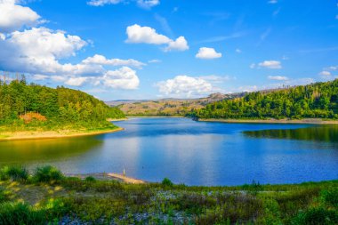Soesetalsperre near Osterode am Harz. View of the reservoir with the surrounding idyllic nature. Landscape at the lake in the Harz National Park.