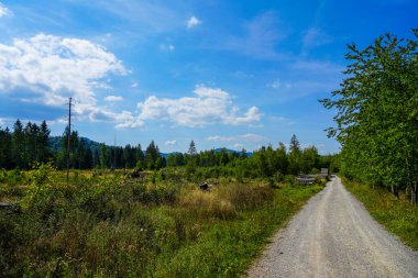 Renatured diabase quarry near Wolfshagen in the Harz Mountains. Hiking Trail of the Stones in the Harz National Park.