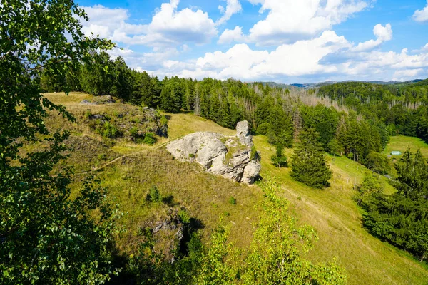 Krajobraz Steinbergu Obszarze Ochrony Krajobrazu Herzberg Harz Dolna Saksonia Widok — Zdjęcie stockowe