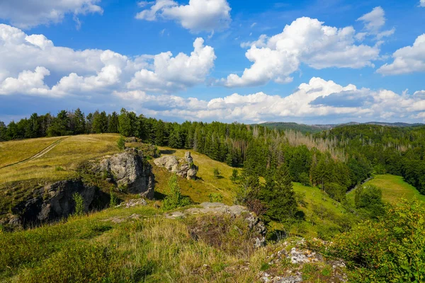 Krajobraz Steinbergu Obszarze Ochrony Krajobrazu Herzberg Harz Dolna Saksonia Widok — Zdjęcie stockowe