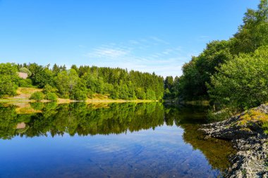 Landscape at the Unterer Eschenbacher Teich. Nature at the lake near Clausthal-Zellerfeld in the Harz National Park. Former mining pond.