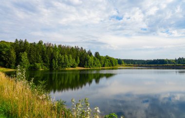Unterer Haus-Herzberger Teich 'in manzarası. Harz Ulusal Parkı 'ndaki Clausthal-Zellerfeld yakınlarındaki gölde. Eski maden göleti.