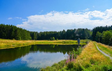 View of the landscape at the Wasserlaeufer Teich near Clausthal-Zellerfeld. Idyllic nature by the lake in the Harz National Park. Old mining pond. Water strider pond.