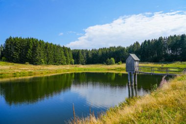 View of the landscape at the Wasserlaeufer Teich near Clausthal-Zellerfeld. Idyllic nature by the lake in the Harz National Park. Old mining pond. Water strider pond.