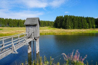 View of the landscape at the Wasserlaeufer Teich near Clausthal-Zellerfeld. Idyllic nature by the lake in the Harz National Park. Old mining pond. Water strider pond.