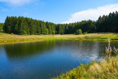 View of the landscape at the Wasserlaeufer Teich near Clausthal-Zellerfeld. Idyllic nature by the lake in the Harz National Park. Old mining pond. Water strider pond.