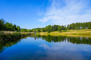 View of the landscape at the Wasserlaeufer Teich near Clausthal-Zellerfeld. Idyllic nature by the lake in the Harz National Park. Old mining pond. Water strider pond.