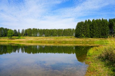 View of the landscape at the Wasserlaeufer Teich near Clausthal-Zellerfeld. Idyllic nature by the lake in the Harz National Park. Old mining pond. Water strider pond.