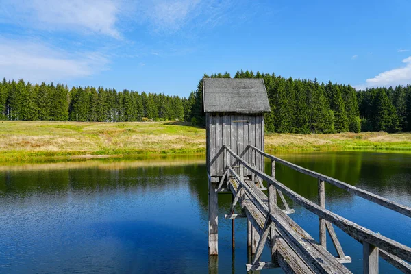 在克劳斯塔尔 泽尔费尔德附近的瓦塞尔劳费尔泰希的风景景观 哈茨国家公园湖边的Idyllic自然 老矿坑给水的池塘 — 图库照片