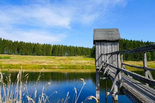 View Landscape Wasserlaeufer Teich Clausthal Zellerfeld Idyllic Nature Lake Harz — Fotografia de Stock