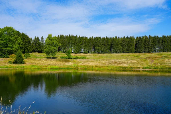 View Landscape Wasserlaeufer Teich Clausthal Zellerfeld Idyllic Nature Lake Harz — Stock Photo, Image