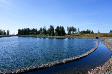 Ettelsberg 'in çevresindeki manzara. Rothaargebirge 'de Ettelsbergsee ile Willingen yakınlarında bir doğa. Sauerland.