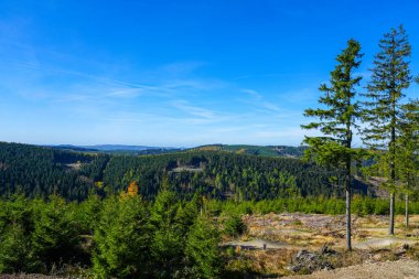 Ettelsberg 'in çevresindeki manzara. Willingen am Rothaargebirge yakınlarındaki doğa. Sauerland.