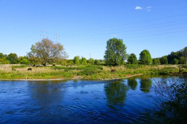 Ruhraue Hattingen-Winz doğa koruma alanında peyzaj. Ruhr bölgesindeki doğa ve ruhr..