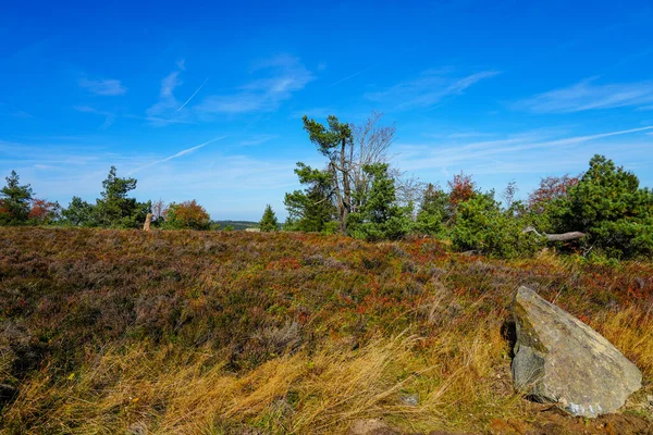 环绕着埃特尔斯堡的风景 威林根附近的自然是罗萨奇比尔奇 萨瑟兰 — 图库照片