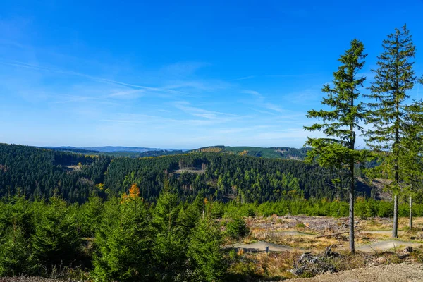 Widok Krajobraz Wokół Ettelsberg Natura Pobliżu Willingen Rothaargebirge Kiszonka — Zdjęcie stockowe
