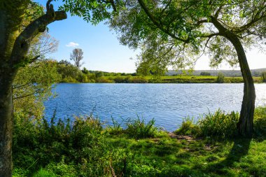 Ruhr ve çevresindeki Steele yakınlarındaki nehir manzarası, Essen. Ruhr bölgesindeki doğa..