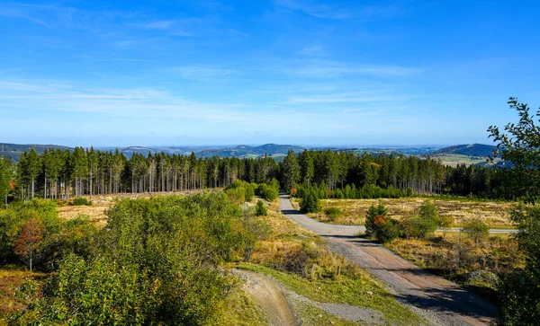 Wanderweg Durch Die Natur Sauerland Landschaft Wald Bei Willingen — Stockfoto