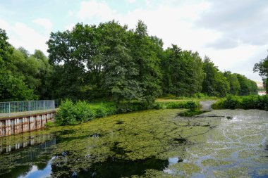 Alte Fahrt, canal near Datteln. Disused section of the Dortmund-Ems Canal with the surrounding nature. Landscape in the Ruhr area.