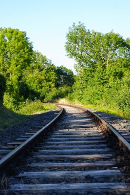 Railway tracks in nature.