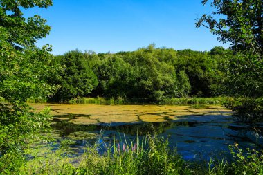 View of the Fulda near Fuldatal. Landscape by the river.