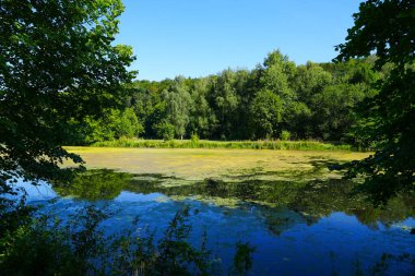 View of the Fulda near Fuldatal. Landscape by the river.