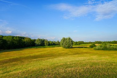 Oberwerrieser Mersch doğa rezervi Hamm yakınlarında. Lippe yakınlarındaki manzara.