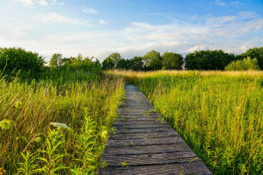 Oberwerrieser Mersch doğa rezervi Hamm yakınlarında. Lippe yakınlarındaki manzara.